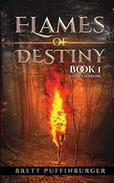 portada Flames of Destiny Book 1: Flames Igniting: Flames Igniting: (en Inglés)