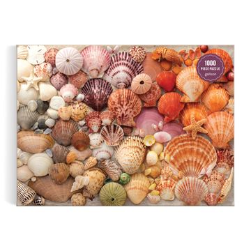 portada Galison Vibrant Seashells – 1000 Piece Puzzle Featuring Chromatic Seashell Arrangement on Sand