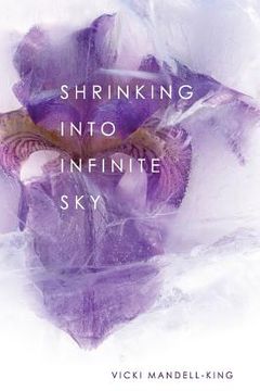 portada Shrinking Into Infinite Sky (en Inglés)