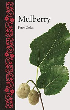 portada Mulberry (en Inglés)