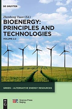 portada Bioenergy: Part 2: Principles and Technologies (Green Alternative Energy Resources) (en Inglés)