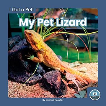 portada My pet Lizard (i got a Pet! ) (in English)