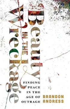 portada Beauty in the Wreckage: Finding Peace in the Age of Outrage (en Inglés)