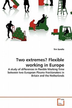 portada two extremes? flexible working in europe (en Inglés)