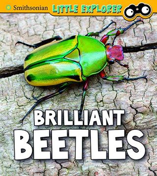 portada Brilliant Beetles (en Inglés)