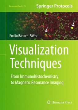 portada visualization techniques: from immunohistochemistry to magnetic resonance imaging (in English)