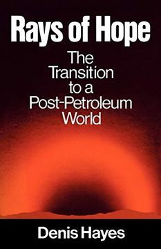 portada Rays of Hope: The Transition to a Post-Petroleum World (Norton Worldwatch Books) (en Inglés)