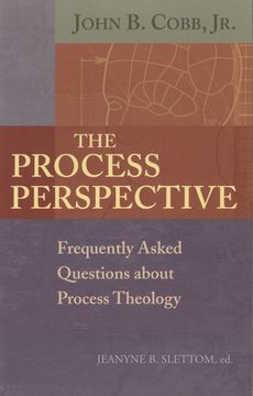 portada The Process Perspective (en Inglés)