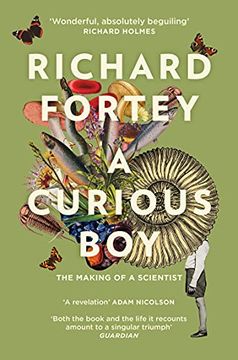 portada A Curious Boy: The Making of a Scientist (en Inglés)