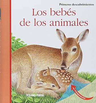 portada Los Bebes de los Animales