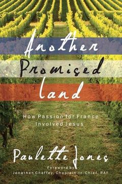 portada Another Promised Land: How Passion for France Involved Jesus (True Stories)
