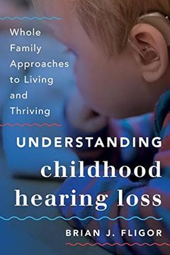 portada Understanding Childhood Hearing Loss (Whole Family Approaches to Childhood Illnesses and Disorders) (en Inglés)