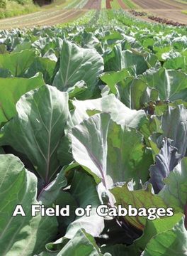 portada A Field of Cabbages (en Inglés)