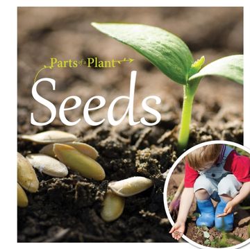 Seeds (Parts of a Plant)