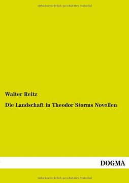 portada Die Landschaft in Theodor Storms Novellen (German Edition)