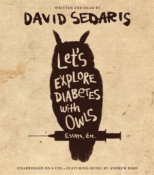 portada Let's Explore Diabetes with Owls