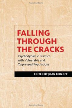 portada Falling Through the Cracks: Psychodynamic Practice With Vulnerable and Oppressed Populations (en Inglés)