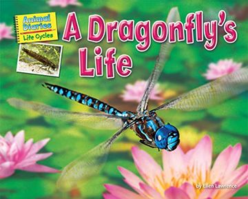 portada A Dragonfly's Life (Animal Diaries: Life Cycles) (en Inglés)