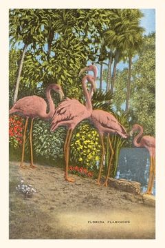 portada Vintage Journal Flamingos, Florida (en Inglés)