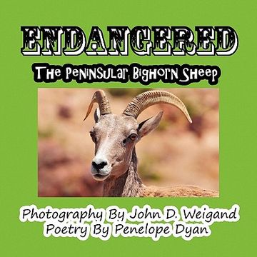 portada endangered--the peninsular bighorn sheep (in English)