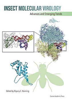 portada Insect Molecular Virology: Advances and Emerging Trends (en Inglés)