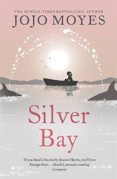 portada Silver Bay (en Inglés)