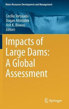 portada impacts of large dams