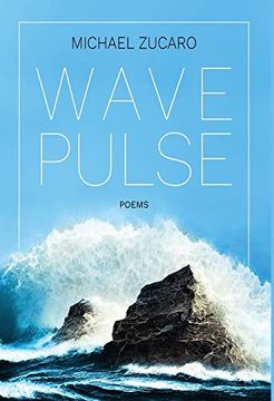 portada Wave Pulse (en Inglés)