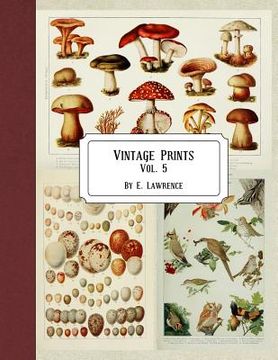portada Vintage Prints: Vol. 5 (in English)
