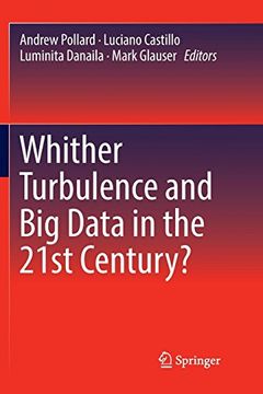 portada Whither Turbulence and big Data in the 21St Century? (en Inglés)
