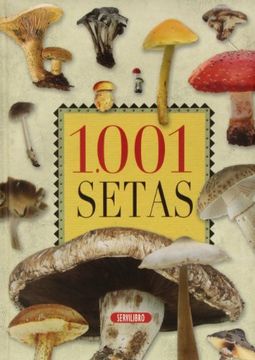 portada 1001 Setas (in Spanish)