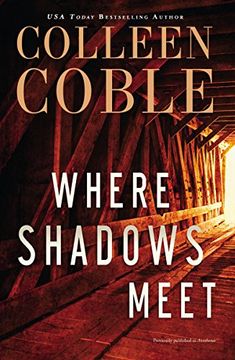 portada Where Shadows Meet: A Romantic Suspense Novel (in English)