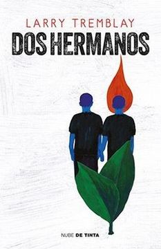 portada DOS Hermanos / The Orange Grove: A Novel