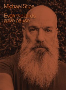 portada Michael Stipe: Even the Birds Gave Pause (en Inglés)