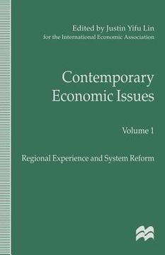 portada Contemporary Economic Issues: Regional Experience and System Reform (en Inglés)