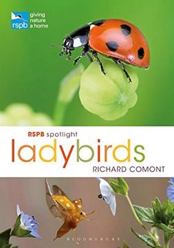 portada Rspb Spotlight Ladybirds (in English)
