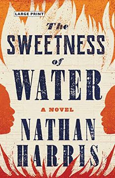 portada The Sweetness of Water (en Inglés)