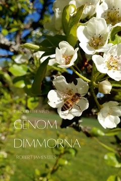 portada Genom dimmorna - Stor text (en Sueco)