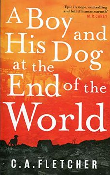 portada A boy and his dog at the end of the World (en Inglés)