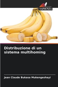 portada Distribuzione di un sistema multihoming (in Italian)