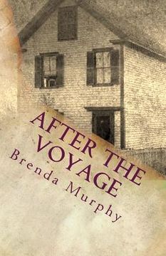 portada After the Voyage: An Irish American Story (en Inglés)