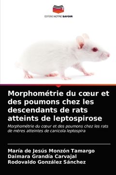 portada Morphométrie du coeur et des poumons chez les descendants de rats atteints de leptospirose (en Francés)