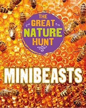 portada The Great Nature Hunt: Minibeasts (en Inglés)