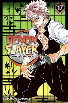 portada Demon Slayer: Kimetsu no Yaiba, Vol. 17 (en Inglés)