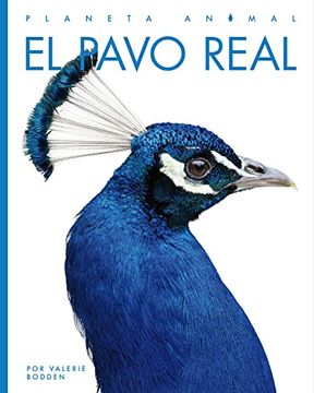 portada El Pavo Real (Planeta Animal) (en Inglés)