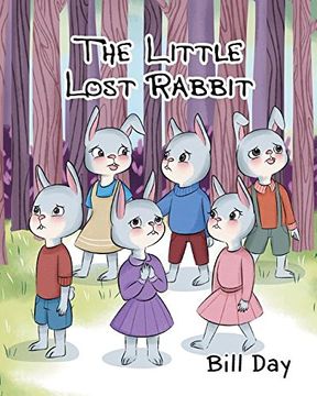 portada The Little Lost Rabbit