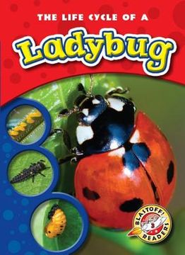 portada The Life Cycle of a Ladybug (en Inglés)