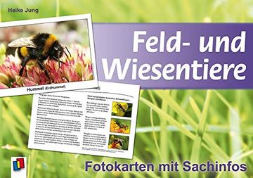 portada Feld- und Wiesentiere - Fotokarten mit Sachinfos (en Alemán)
