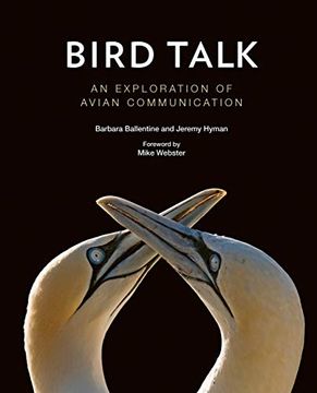 portada Bird Talk: An Exploration of Avian Communication (en Inglés)
