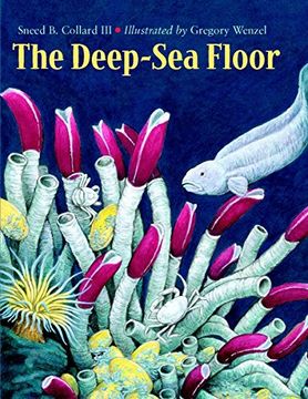portada The Deep-Sea Floor (en Inglés)